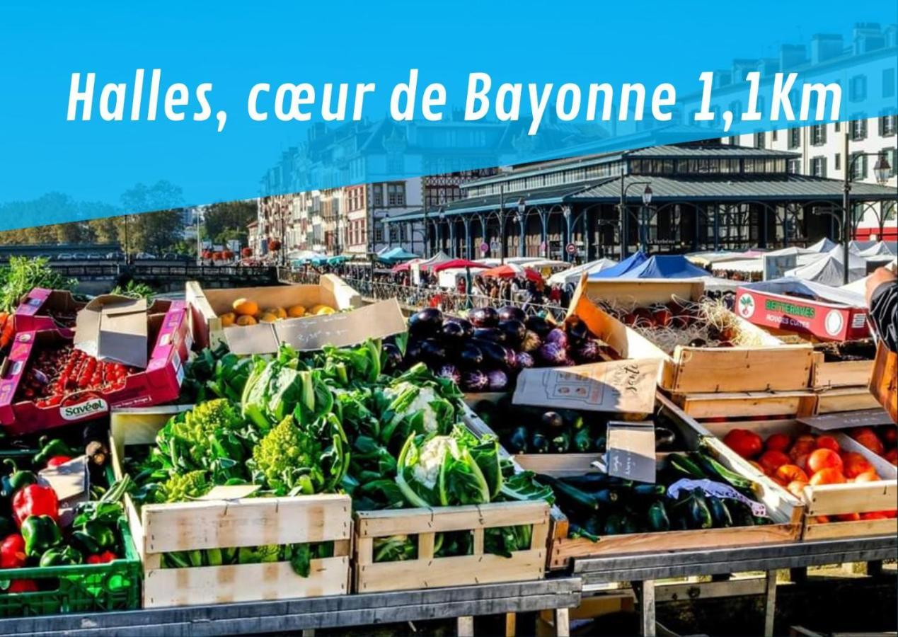 Eroso Saint Esprit Proche Gare Wifi Bureaux Leilighet Bayonne Eksteriør bilde